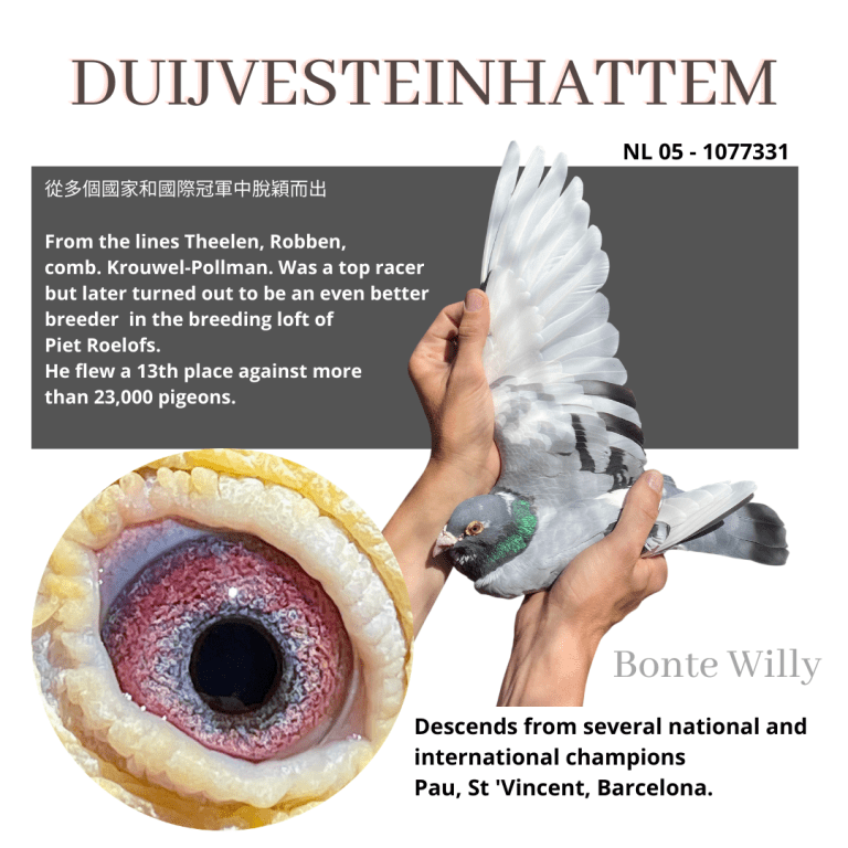 DuijvesteinHattem kweker Bonte Willy Piet Roelofs
