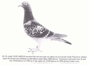 82-1402510 de beroemde 10 Jan Theelen