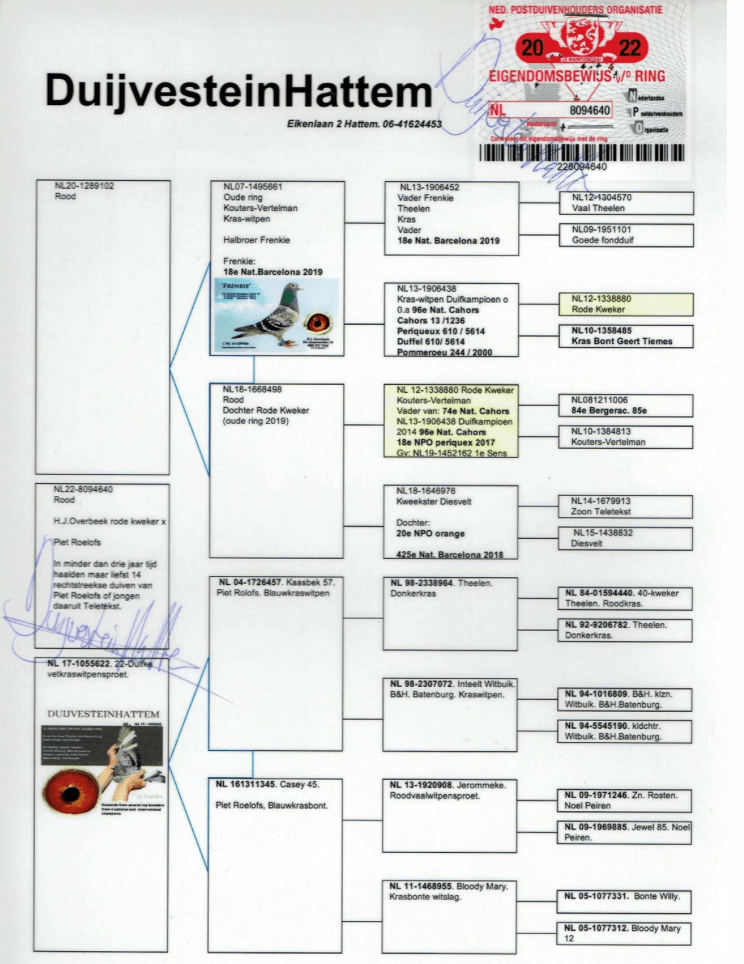 H.J. Overbeek, Velp afstamming 18e Nationaal Barcelona 2019.