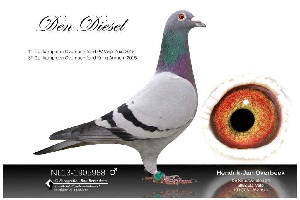 Den Diesel H.J. Overbeek, Velp 