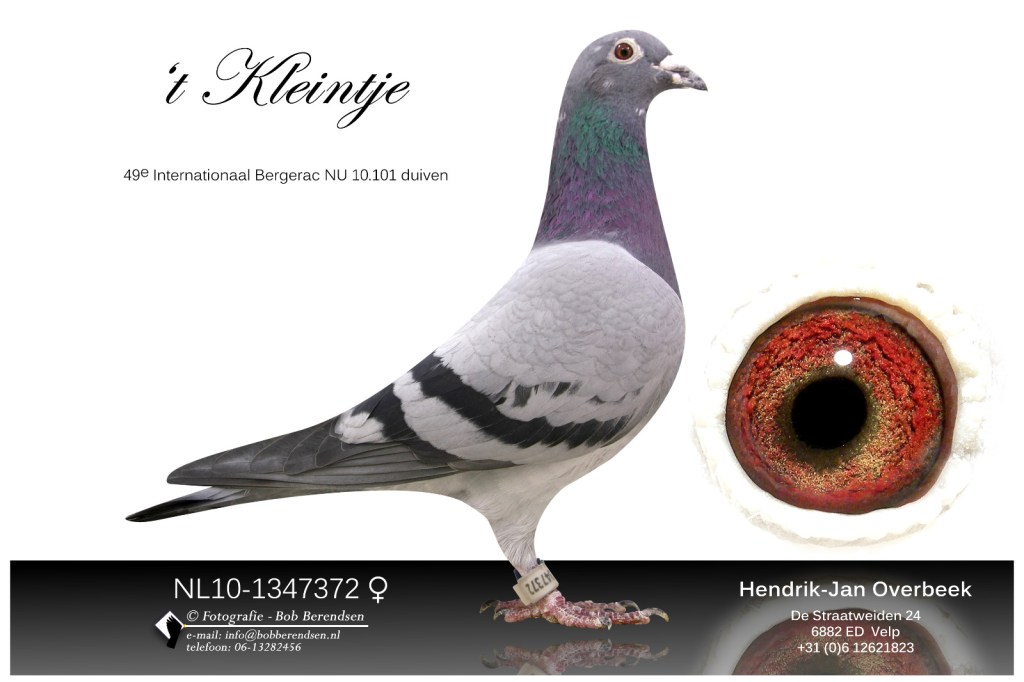 H.J. Overbeek, Velp 't Kleintje