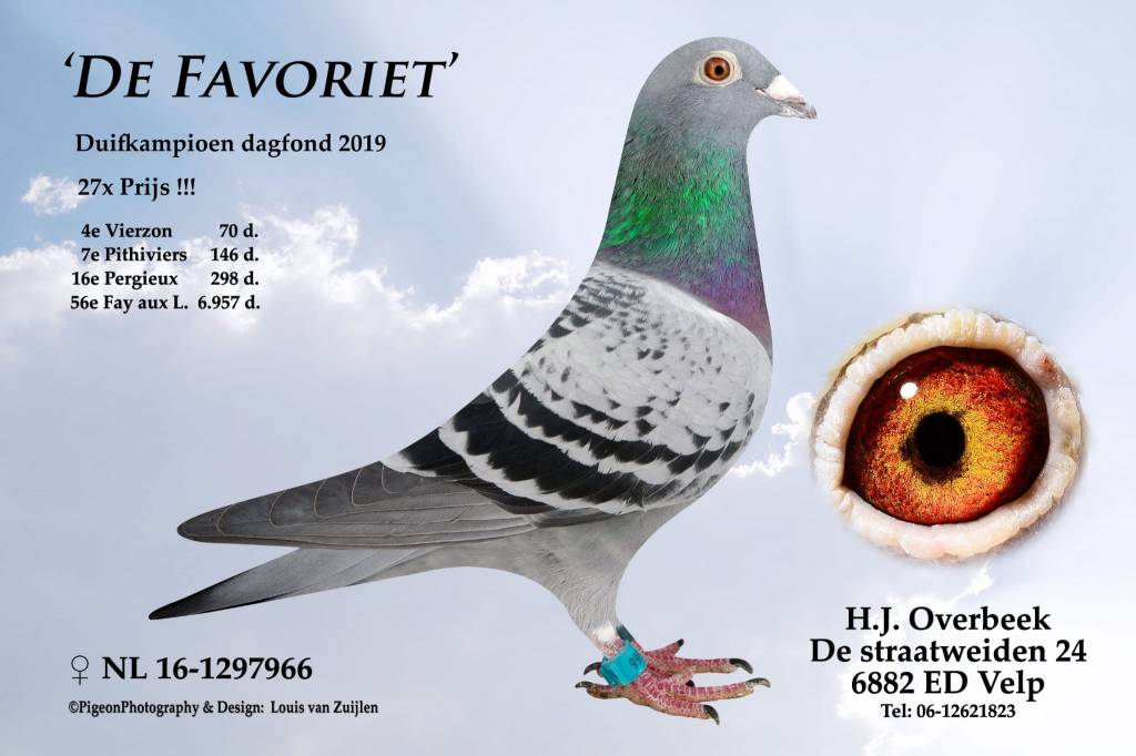 De favoriet H.J. Overbeek, Velp