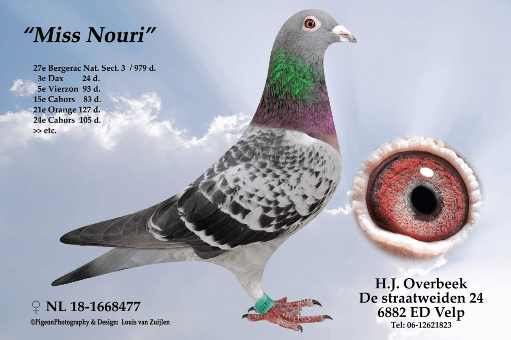 Miss Nouri H.J. Overbeek, Velp