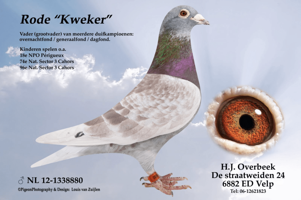 Rode Kweker H.J. Overbeek