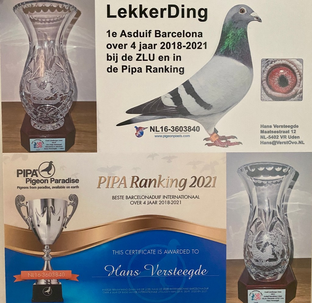 Hans Versteegde DuijvesteinHattem