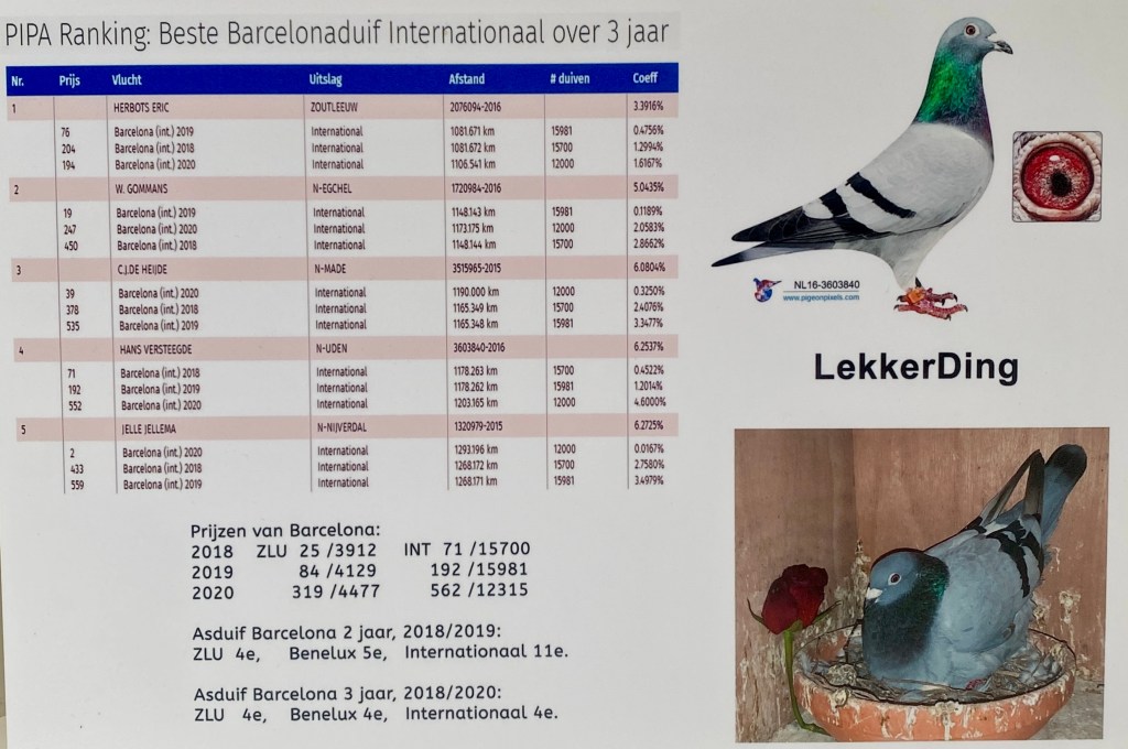 Hans Versteegde DuijvesteinHattem